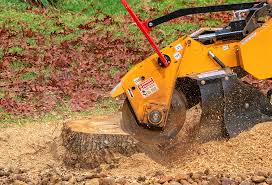 Best Leaf Removal  in Camp Croft, SC